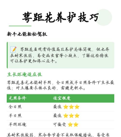 春雷霉素防治柿树病吗，了解适用病害，掌握正确用法