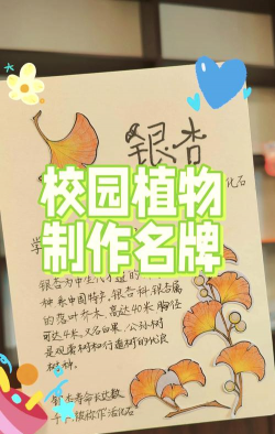 桂花树怎么种植，掌握关键步骤，轻松养出满园香