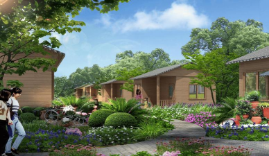 桂花树怎么种植，掌握关键步骤，轻松养出满园香