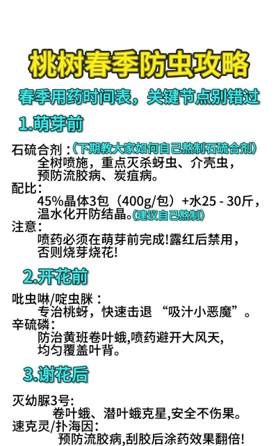 桂花树怎么种植，掌握关键步骤，轻松养出满园香
