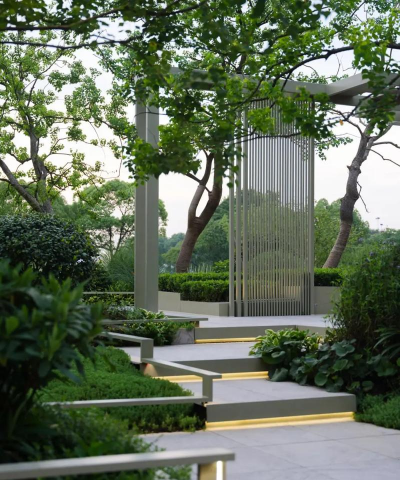 桂花树怎么种植，掌握关键步骤，轻松养出满园香