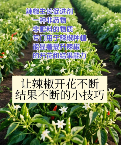 桂花树怎么种植，掌握关键步骤，轻松养出满园香