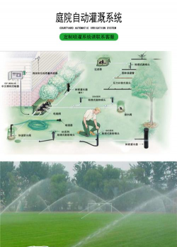 山楂树害虫天牛防治，识别关键特征，掌握有效方法