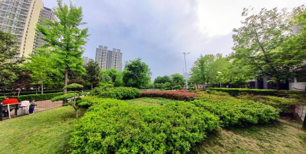 山楂树害虫天牛防治，识别关键特征，掌握有效方法