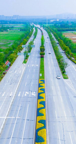 山楂树害虫天牛防治，识别关键特征，掌握有效方法