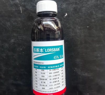 金冠花怎么养，掌握关键技巧，轻松爆盆开花