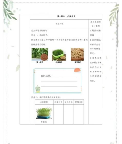 龙眼树臭椿虫防治技术，识别虫害特征，掌握防治时机