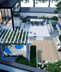 龙眼树臭椿虫防治技术，识别虫害特征，掌握防治时机