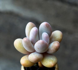 绿化槽设计，提升空间美感，打造舒适环境