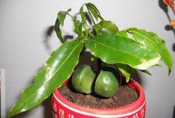 绿化槽设计，提升空间美感，打造舒适环境