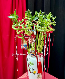 春雷霉素防治柿树病吗，了解适用病害，掌握正确用法