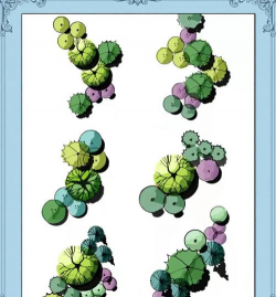 春雷霉素防治柿树病吗，了解适用病害，掌握正确用法