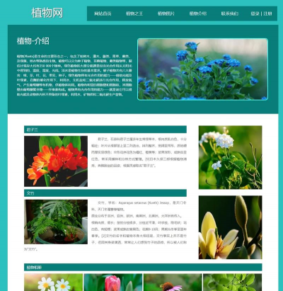 洞庭树白粉病咋防治，识别症状，掌握方法