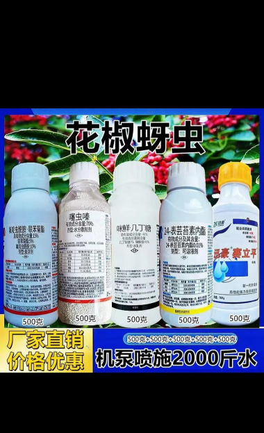 金冠花怎么养，掌握关键技巧，轻松爆盆开花