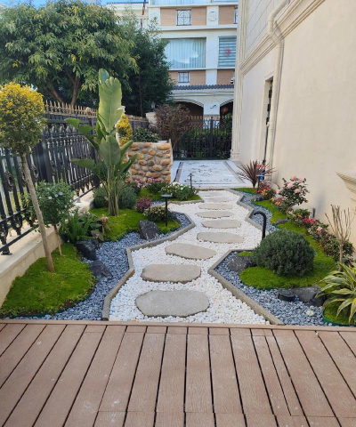 金冠花怎么养，掌握关键技巧，轻松爆盆开花