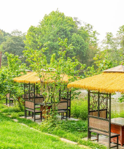 春雷霉素防治柿树病吗，了解适用病害，掌握正确用法