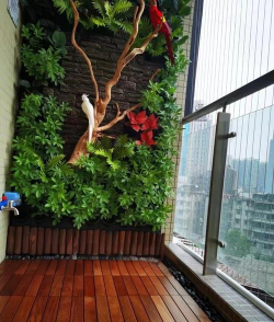 龙眼树嫩叶枯死防治方法，找准原因，对症下药