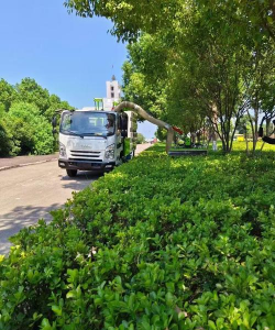 洋桔梗花怎么水养，延长花期，保持鲜艳