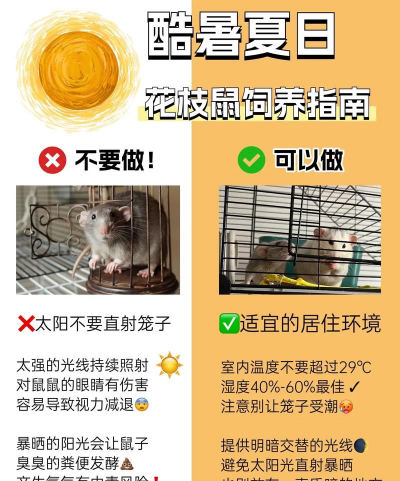 洋桔梗花怎么水养，延长花期，保持鲜艳