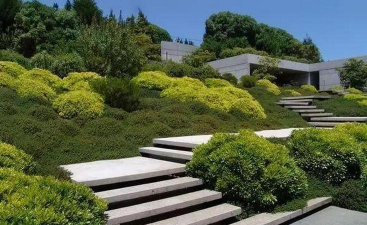 甜瓜栽培技术，选对品种，掌握关键步骤