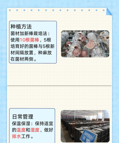 天麻栽培，种植方法，常见问题解答