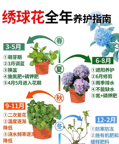 甜瓜栽培技术，选对品种，掌握关键步骤