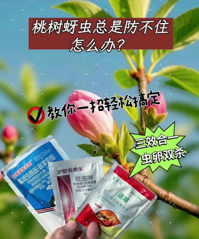 庭院绿化景观设计，打造舒适空间，提升生活品质