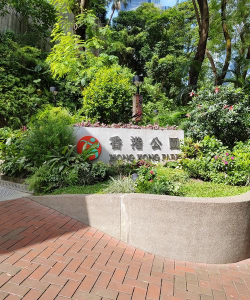 香港绿化设计，提升城市环境，改善居民生活
