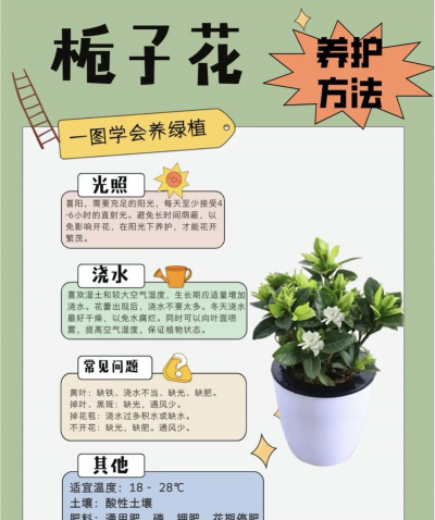 庭院绿化景观设计，打造舒适空间，提升生活品质