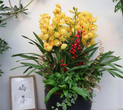 庭院绿化景观设计，打造舒适空间，提升生活品质