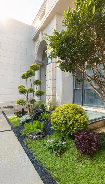 花椒树春夏病虫害防治，识别常见问题，掌握应对技巧