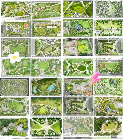 春雷霉素防治柿树病吗，了解适用病害，掌握正确用法