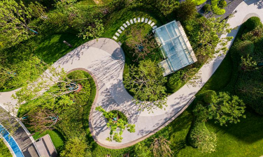 枸杞树病虫害的防治方法，识别常见问题，掌握应对技巧