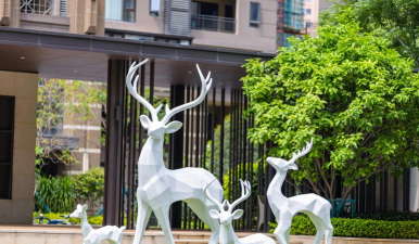 芝麻栽培，选对品种，掌握关键技巧