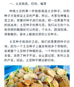 花椒树怎样防治黑腐病，识别早期症状，掌握关键方法