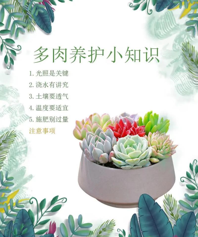 芝麻栽培，选对品种，掌握关键技巧