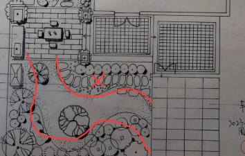 洞庭树白粉病咋防治，识别症状，掌握方法