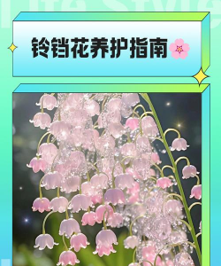 龙眼树嫩叶枯死防治方法，找准原因，对症下药