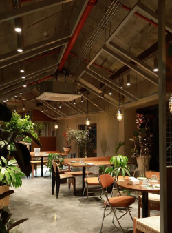 花椒树春夏病虫害防治，识别常见问题，掌握应对技巧