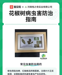 花椒树春夏病虫害防治，识别常见问题，掌握应对技巧