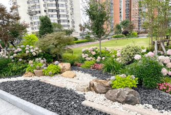 花椒树春夏病虫害防治，识别常见问题，掌握应对技巧