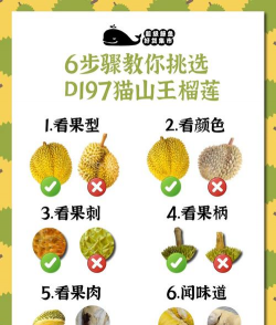 缘罗花怎么养，掌握关键技巧，轻松培育健康植株