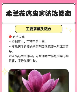 花椒树怎样防治黑腐病，识别早期症状，掌握关键方法
