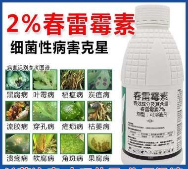 春雷霉素防治柿树病吗，了解适用病害，掌握正确用法