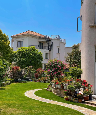 花椒树怎样防治黑腐病，识别早期症状，掌握关键方法