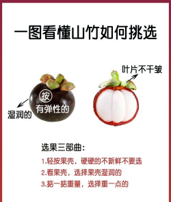 缘罗花怎么养，掌握关键技巧，轻松培育健康植株