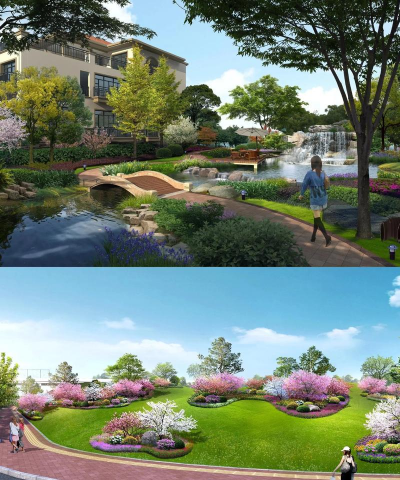 洞庭树白粉病咋防治，识别症状，掌握方法