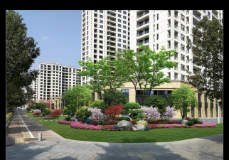 洞庭树白粉病咋防治，识别症状，掌握方法