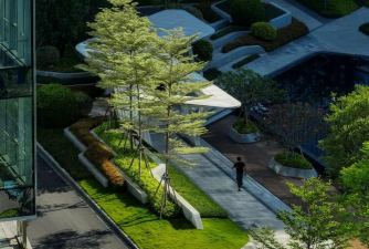 枸杞树病虫害的防治方法，识别常见问题，掌握应对技巧