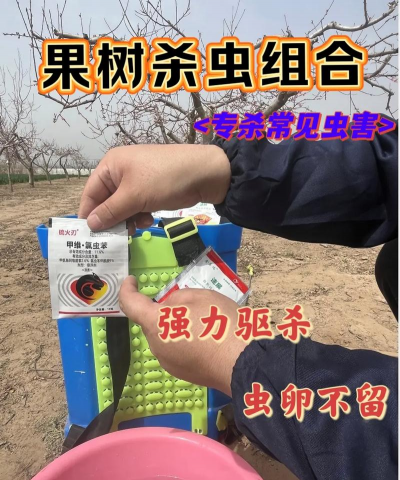 枸杞树病虫害的防治方法，识别常见问题，掌握应对技巧